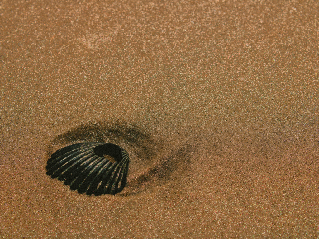 Akasha Chronik Level 2